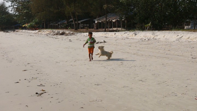 sihanoukville, cambodge, otres, chiens, cambodgien