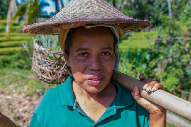 rizières, rice fields, Tegalalang, Ubud, balinese woman, femme de Bali