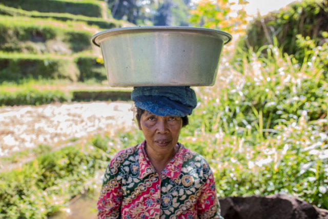 balinese woman, femme Bali, rice fields, rizières,