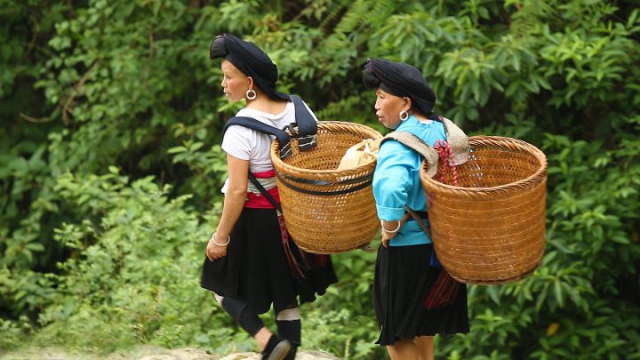 Guilin, Tiantouzhai, rizières de Longji, rizières en terrasses