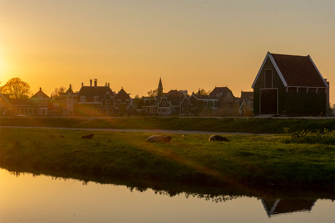Zaanse Schans, moutons, village typique hollandais