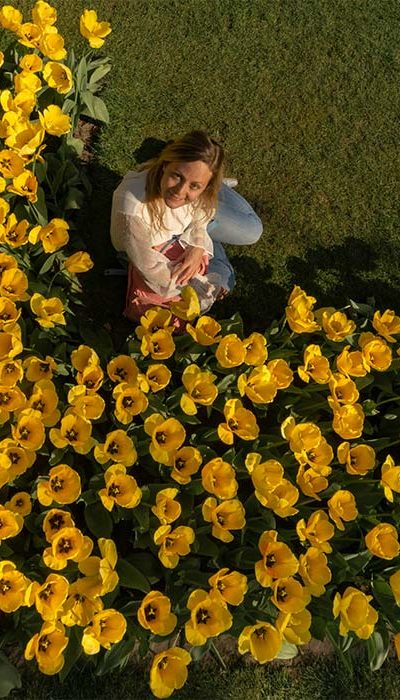 Tulipes, Keukenhof, jardin, pose tulipes
